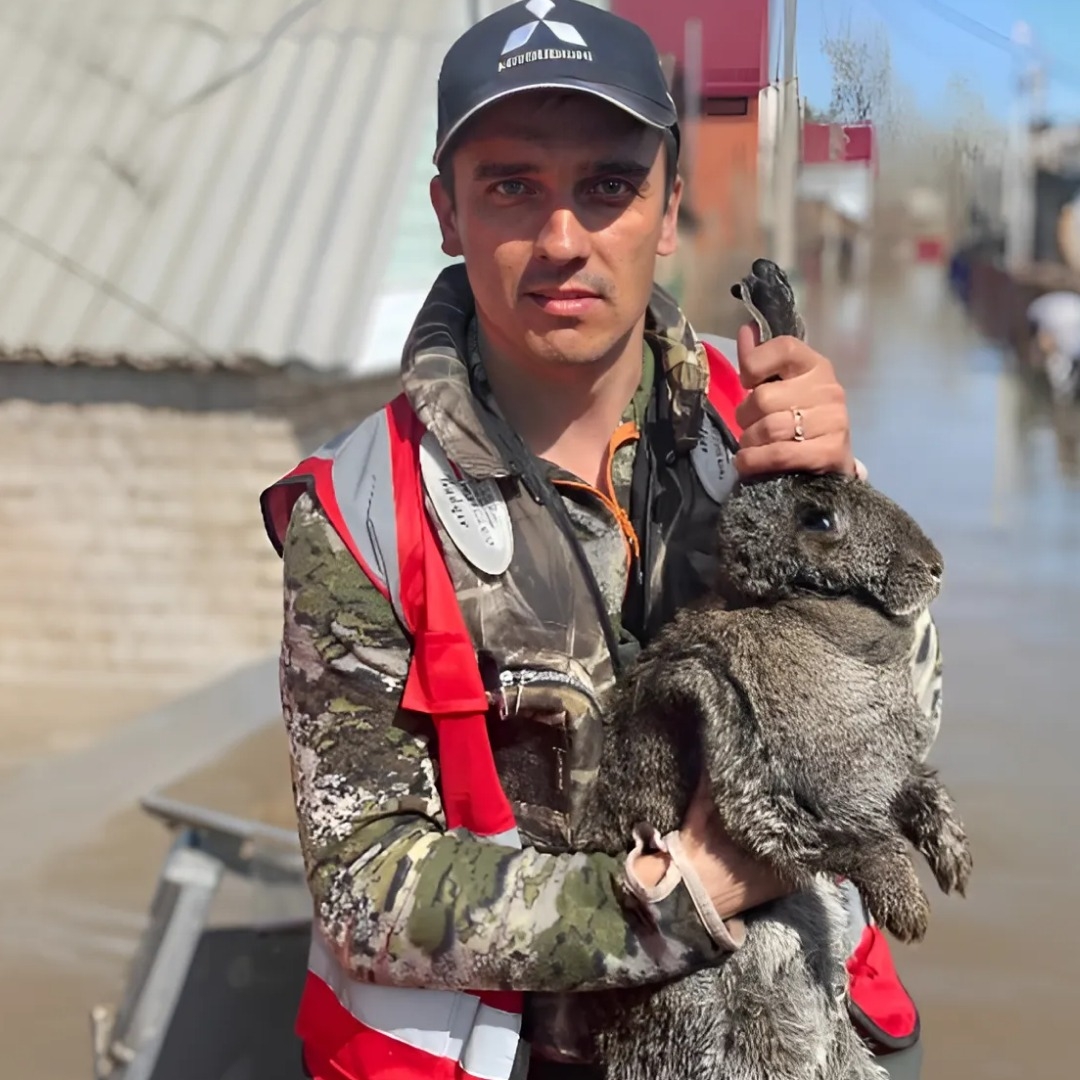 Андрей Банзай и зайцы: волонтёр спасает животных и людей от паводка в Оренбурге